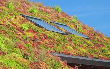 Creigiau living roof systems